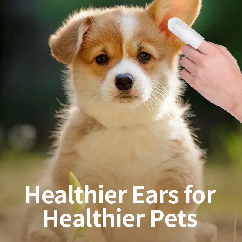 Pet Ear Cleaning Wipes 50 Count Gentle Cleaner for Dogs & Cats - UnCurlX