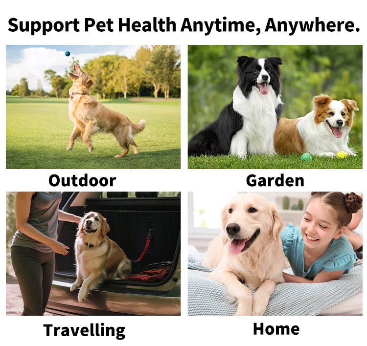 Pet Teeth Cleaning Wipes 50 Count Dental Care for Dogs & Cats - UnCurlX